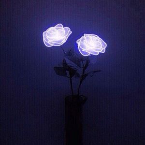 Meet your Posher, Trinity